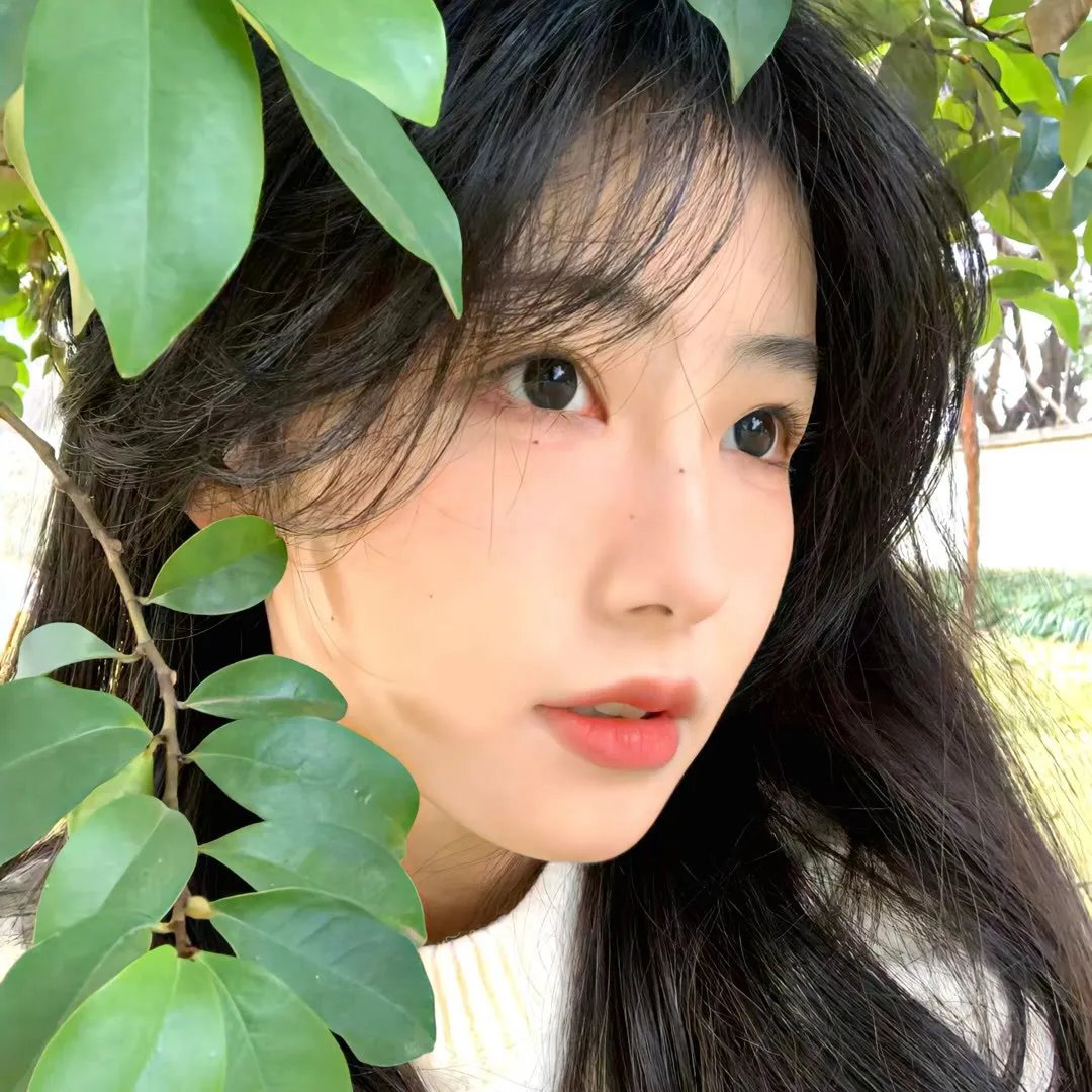 看不见的月亮